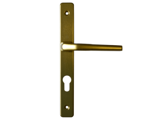 Hoppe lever handle Gold